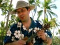 Ukulele, Tiny Bubbles on the beach in Waikiki