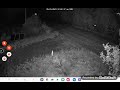 Reolink cameras. Night recordings. Quick and dirty. unedited. info in description. 21MAY23