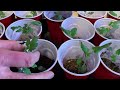 GROW STRONGER TOMATO PLANTS using the DOUBLE CUP METHOD