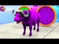 Long Slide Game With Elephant Cow Lion Gorilla 3d Animal Game Funny 3d Animals Cage Game