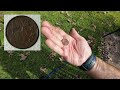 Park Metal Detecting With The 6 Inch Coil