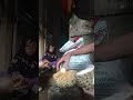 Unboxing duren lokal Super 