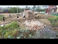 Part 1 Dozer Pushing Soil Delete Pond & Mini Truck Working Dumping Dirt - Bulldozer Working - Dozer
