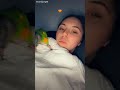 Crazy&Smart Parrots of TikTok Compilation [Funny Parrots 2021] 🦜