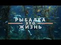 Зелёный остров / 3 августа / Маяки / Днестр / Долгожданная рыбалка