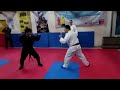 Epic Karate vs. Ninjutsu Sparring Match | Who Will Reign Supreme? Mcdojo