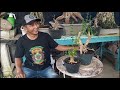 Intip-intip review bahan bonsai di galeri om Han BP Lumajang yg sangat terjangkau harganya 