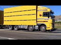 TRUCK SPOTTING | BEST OF 2023 | NZ TRUCKS AND TRAILERS #truckspotting #trucking #entertainment #asmr