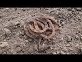 Metal Detecting a Lost 1800's Horse Racing Track in Nebraska