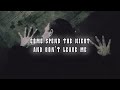 Scrim-  north pontchatrain blues (official lyric video)