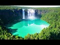 Relaxing Music to Relieve Stress, Anxiety and Depression • Mind, Body 🐬 Soothing music for nerves