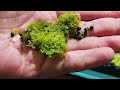 HOW TO BUILD A BEAUTIFUL AQUASCAPE