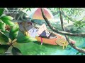 Chill Music with River - Sunlight Filtering Through Mangroves - sea-no