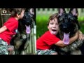 4-Year-Old Boy Gets Tucked In Every Night By His German Shepherd