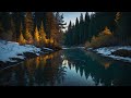 [1hour] Relaxing Music, A Stream Flows #176 : Calm, Stress Relief, Meditation