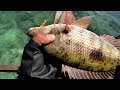 Northern Samar Anglers Club Fishing Adventure | San Antonio N. Samar | UL Setup