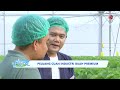 Peluang Cuan Industri Buah Premium | IDX CHANNEL