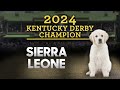 Puppies Predict the Winner of the 2024 Kentucky Derby | The Tonight Show Starring Jimmy Fallon