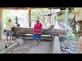 Woow !! Sawing large and long durian tree trunks