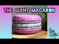 MAKING A GIANT MACARON CAKE! Decorating tutorial