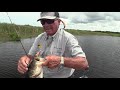 ABC's of Devils Horse fishing! Big topwater bass!