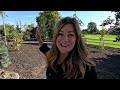 Grape Harvest, Canning Grape Juice & Planting with Benjamin! 🍇🥰🌿 // Garden Answer