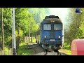 Trenuri & Trafic Feroviar în Salva 🚊🚂 Trains & Rail Traffic in Salva - 20 Aprilie 2024
