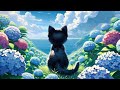 Hydrangea Hills - Lofi Japanese Scenery 🌼Chill & Relaxation Beats