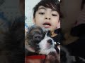 birtday gift 🐕 dog cute video