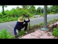 Clearing weeds from the sidewalk, the trees breathe thanks to a wonderful transformation