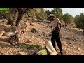 Nomadic man in nature: delicious barbecue by the river, swimming and straw picking with a donkey