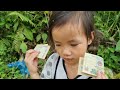 The situation of a 5-year-old orphan girl and her puppy cutting chives to sell | pool girl