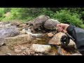 Fly Fishing for 1 Hour: How Many Trout Can I Catch? (Brook Trout)