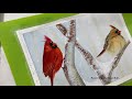 How to paint Cardinals in watercolor / step by step