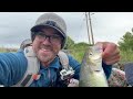 Bank Fishing Columbia River Shad + Hooked A Salmon