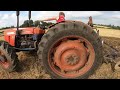 1969 Same Leone 70 V4 4WD 3.4 Litre 4-Cyl Diesel Tractor (71 HP) with 2 Furrow Plough