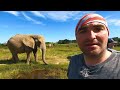 Walking With ELEPHANTS - South Africa Motorcycle Adventure Episode 12