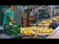 INCREDIBLE Lemons Smart Factory: Modern Methods For Harvesting and Sorting Lemons