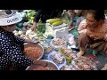 Various Street Food In Cambodia - Snails, Palm Seeds, Crabs, Shrimp, & More