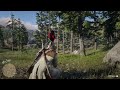 Red Dead Redemption 2 - Wolves caught playing