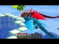 Having a DRAGON LIFE in Minecraft!