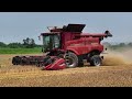 Case IH AXIAL FLOW 5140 wheat harvest 2024