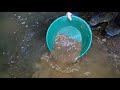 Removing High Grade Gold Ore From Gold Quartz Vein & Panning For Gold!