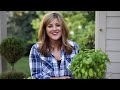 How to Prune Basil