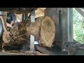 Discover the beauty in teak wood grain || Amazing Lumberking Sawing.