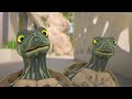 Turtle Adventures and Raccoon Chaos | Mighty Mike | 40' Compilation | Cartoon for Kids