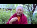 What is Dharma Practice? | Ringu Tulku