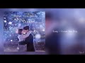 While You Were Sleeping Full OST