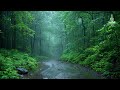 Rain in the Forest // Nature & Brown Noise // Relaxing Effect on the Mind // The House of Healing