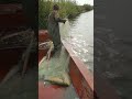 Best Tools Fish Trap  Of Catching Lot Of Fish🐟🎣#shorts #viral #fishing